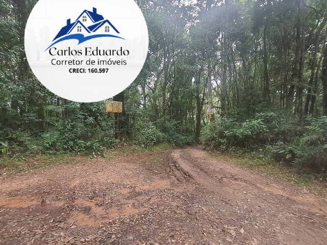 #91 - Área para Venda em Cotia - SP - 3